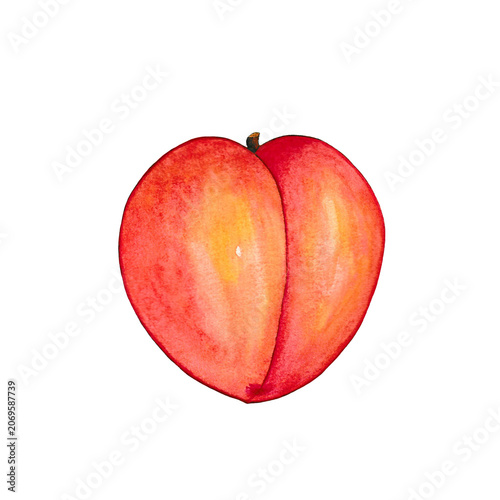 Ripe Peach Fruit Watercolor Illustration Isolated on Peach Background