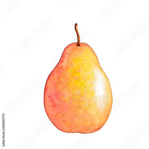 Fresh Pear Fruit Watercolor Illustration Isolated on Transparent Background