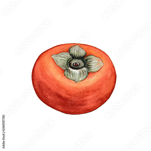 Ripe Persimmon Fruit Watercolor Illustration Isolated on Transparent Background
