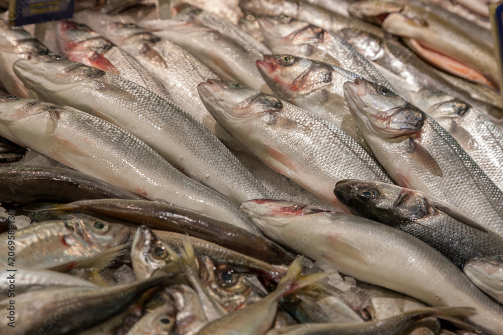 Fototapeta premium Fischverkauf frische Wolfsbarsche , Mallorca