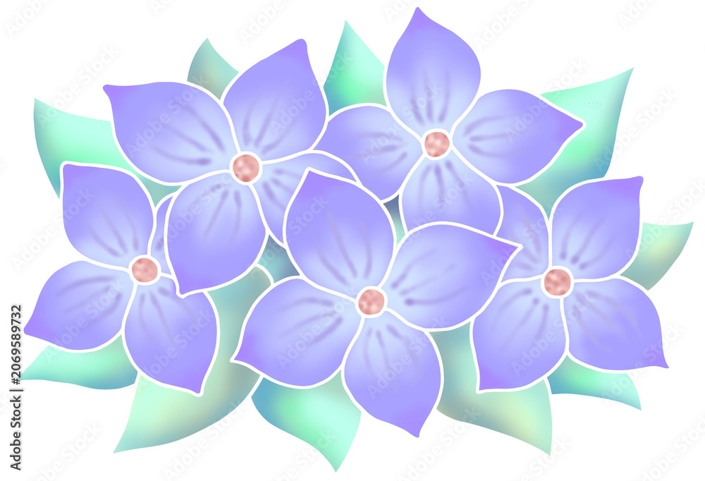 Obraz premium 花のイラスト - フラワーペインティング・植物
