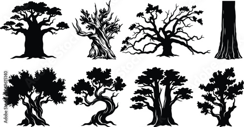 Canvastavla Vector collection of old gnarled tree silhouettes including baobab oak and majes