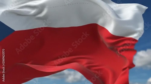 Waving flag of the czech republic