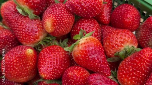 Ripe red strawberries green box closeup, packed in plastic crate at bustling fruit market, glossy skin and visible seeds, vibrant
