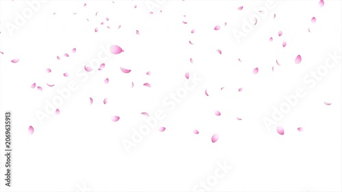Cherry blossom petals falling animation. Pink cherry petals. Sakura leaves falling. Realistic falling blossoms. Falling petals. Japanese spring concept