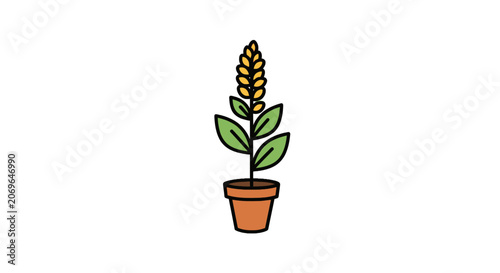 Small Potted Plant with Green Leaves.
