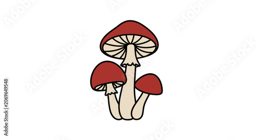 Fotografie Three Red Mushrooms with White Stems.