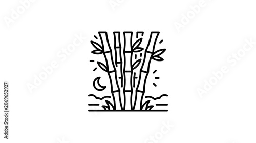 Bamboo plant with leaves growing.
