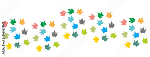 Colorful maple leaf vector illustration, white background vector illustration