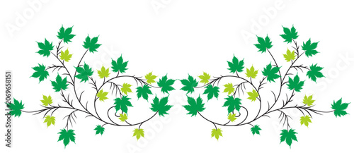 Silhouette of a tree and branches with green leaves.