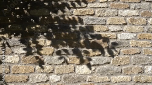 Tree leaf shadows fall on a rustic brown stone wall background