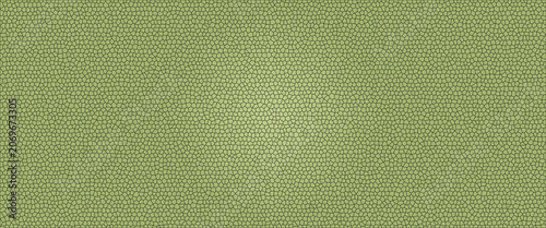 CloseUp Green Textured Background Pattern Design