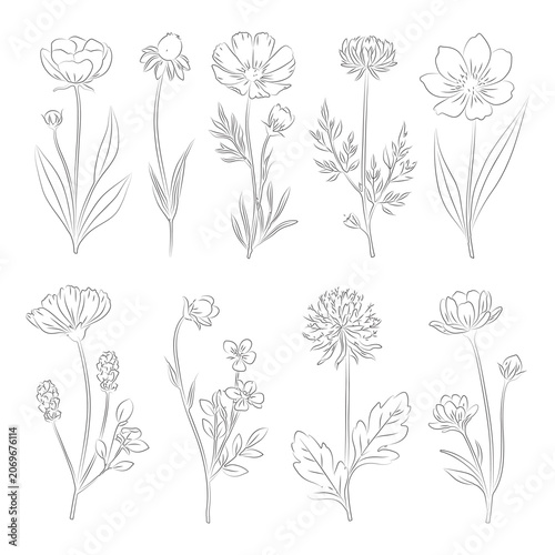 Wildflower Line Art Clipart Bundle, Minimal Botanical Flower Drawings, Hand Drawn Floral SVG PNG Set