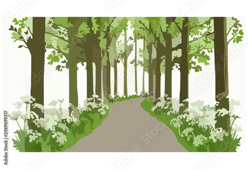 Foto Dutch Countryside Road with Spring Trees and White Cow Parsley Flowers Vector Il