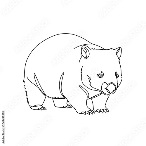 Thin Outline Sketch of a Wombat Walking