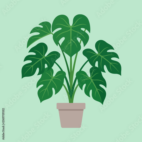 A vibrant green tropical plant grows inside a simple clay pot