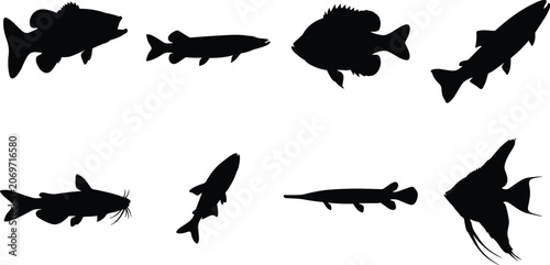 Freshwater Fish Silhouette Collection with Popular Sport and Aquarium Species