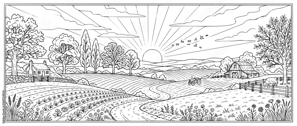 Fototapeta premium farm landscape coloring page at sunrise with barn and tractor