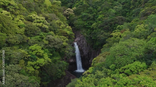 Hidden waterfall in forested rock canyon in Yakushima, Japan