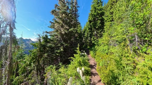 Hiking Down from the High Divide in Olympic National Park