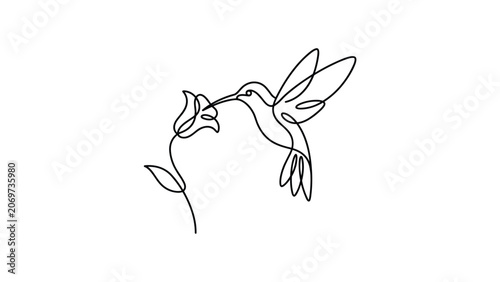 Obraz na płótnie Continuous single line drawing of a hummingbird hovering near a flower
