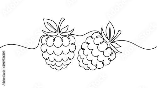 Continuous one line drawing of two ripe raspberries.