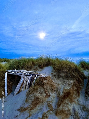 Driftwood shack built into a sand dune along the rugged Oregon coast beach