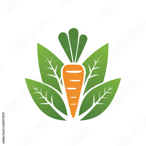 Flat vector illustration of a carrot with green leaves