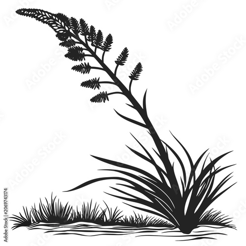 Obraz na płótnie xanthorrhoea minor silhouette vector