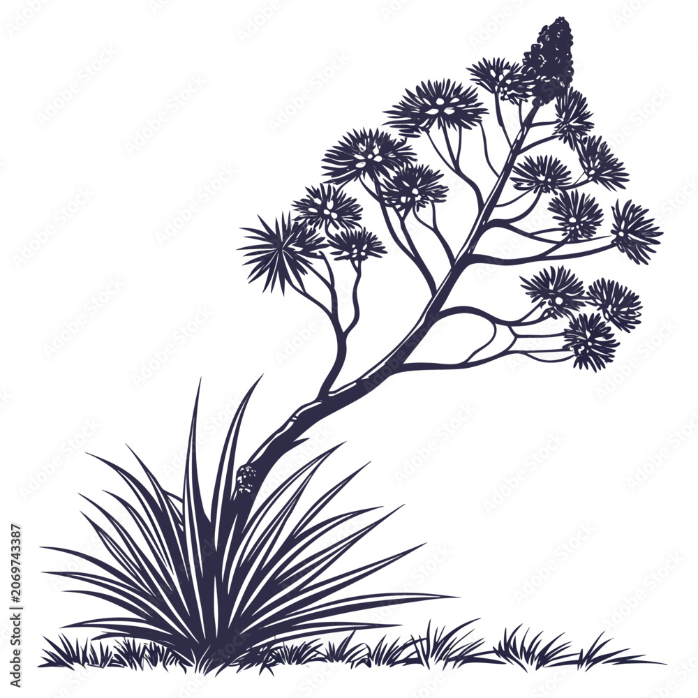 Obraz premium xanthorrhoea macronem silhouette vector on white background