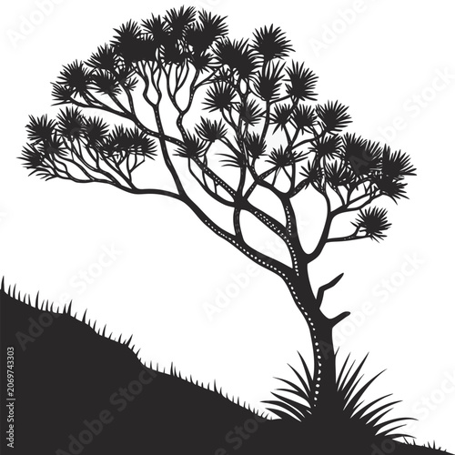 xanthorrhoea macronema silhouette