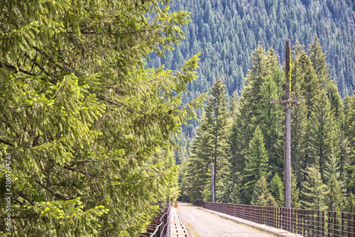 View of a densely packed mountain forest beyond a trestle along the Route of the Hiawatha recreation trail near Taft, Idaho.