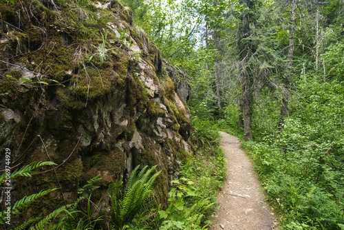 The Pulaski Tunnel hiking trail passes by a rocky cliff along a mountain path through dense woodlands near Wallace, Idaho.