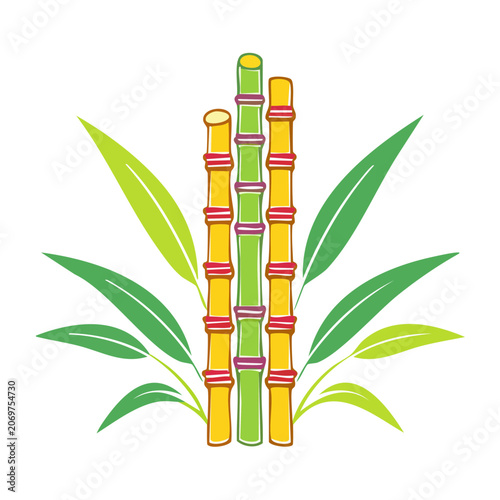 Flat illustration of sugarcane stalks with green leaves