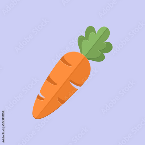 Foto Minimalist vector illustration of a fresh orange carrot