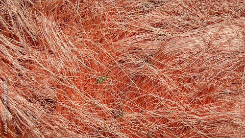 Vászonkép Macro texture of tangled copper wire shavings creating a dense metallic mesh wit