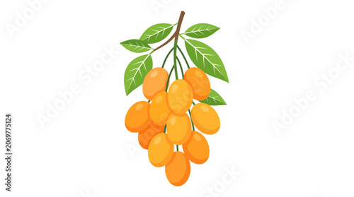 A bunch of orange fruit hanging.