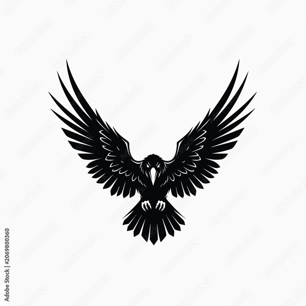Fototapeta premium Black bird in flight wings spread.