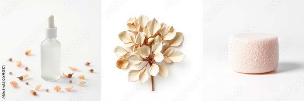 Fototapeta premium Minimalist beauty products presentation. Serum bottle, dried flowers, sponge shown. Soft colors, clean aesthetic, simple composition.