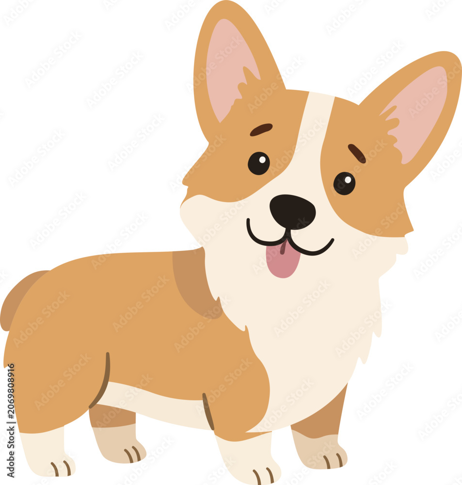 Obraz premium Corgi dog standing and smiling cute cartoon illustration