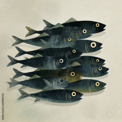 School of sardines illustrated in simple style with dark blue and green tones, showing natural underwater scene with fish swimming closely