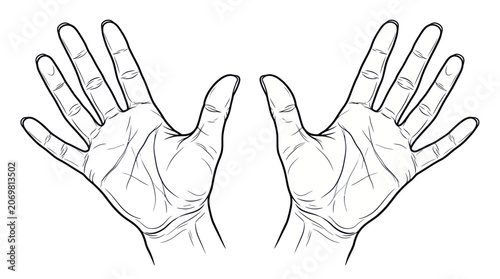 Open Hands Gesture Illustration, Human Palms Up, Vector Drawing