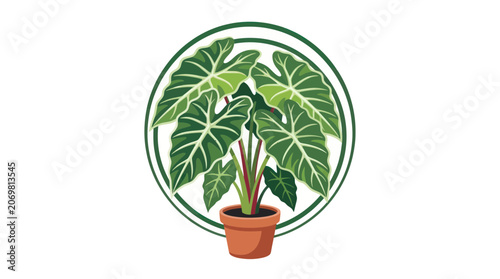 Potted Elephant Ear Plant with Large Green Leaves in Circle Emblem