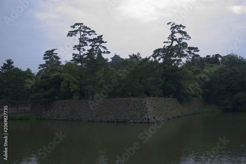 Castle moat with pine trees in early summer, Japan