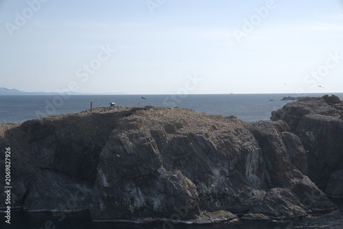 Rugged sea cliff headland in spring, Japan
