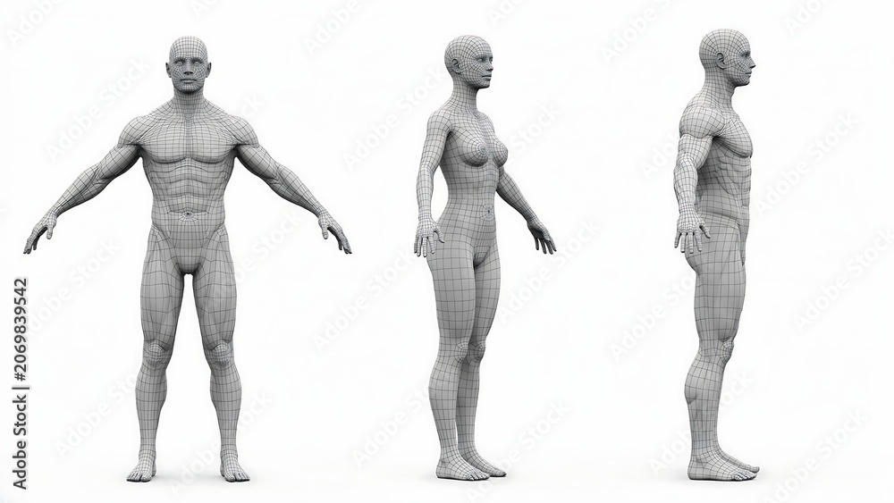 Fototapeta premium Three views of a humanoid character 3D wireframe mesh model on white background with wireframe humanoid character structure