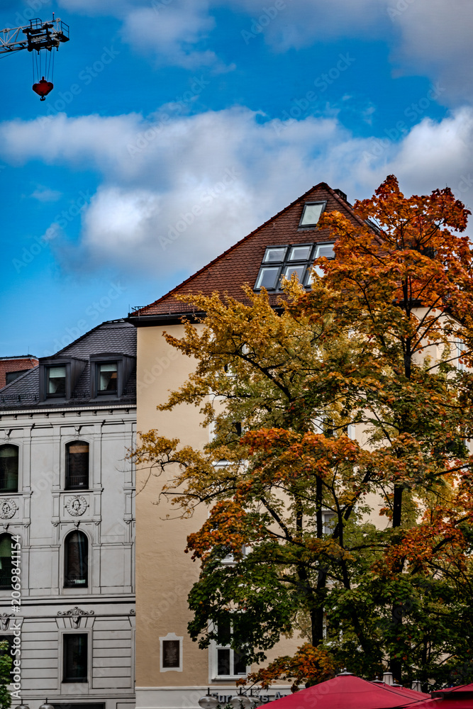 Obraz premium Autumn Tree Among Historic Buildings in Munich
