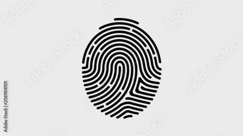 Fingerprint pattern displays unique biometric identification loops on a clean and neutral background.