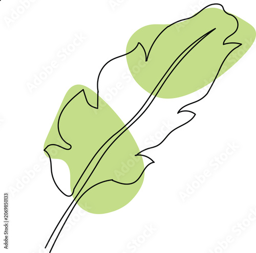 Single Line Drawing of a Feather with Green Abstract Shapes