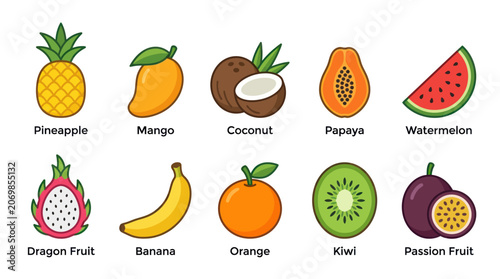 Tableau sur toile Tropical fruit collection with descriptive name labels.